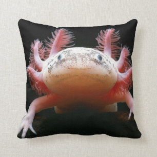 BEAU coussin d'Axolotl gentil à croquer ! !