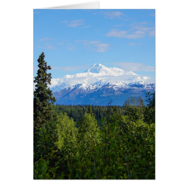 Beau Denali (Devant)