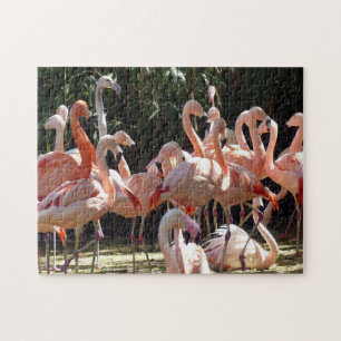 Beau Flamant rose rose Jigsaw Puzzle
