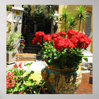 BEAU FLEURS ROUGES DANS POSTER CÉRAMIQUE