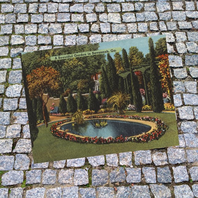 Beau Jardin à Savannah GA Cartes postales (Créateur téléchargé)