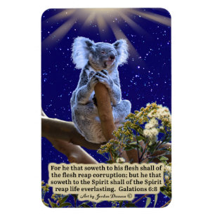 Beau Koala Scripture Magnet Galates 6:8