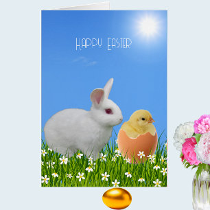 Beau lapin de Pâques blanc et poussette sur le ble