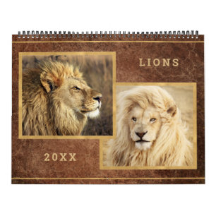 Beau Lions Photo Calendrier