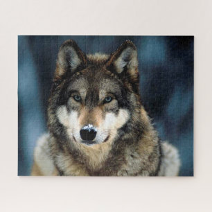 Beau loup en hiver, Jigsaw Puzzle