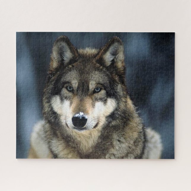 Beau loup en hiver, Jigsaw Puzzle (Horizontal)