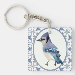 Beau oiseau bleu Jay
