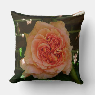 Beau Oreiller Rose Pastel