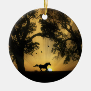 Beau Ornement de Cheval et lever du soleil