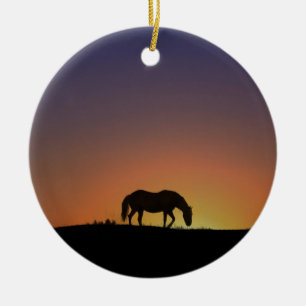 Beau Ornement de Noël du Cheval du Sud-Ouest