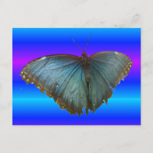 Beau Papillon bleu Morpho do-it-yourself carte pos
