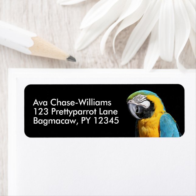 Beau perroquet bleu et or Macaw (En situation)