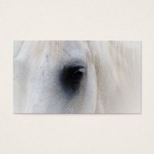 Beau plan rapproché de cheval blanc