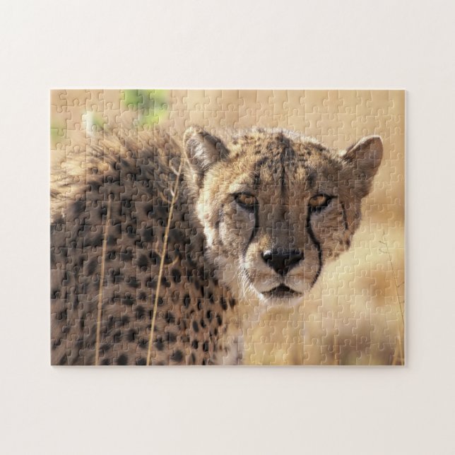 Beau Portrait Cheetah, Puzzle Jigsaw (Horizontal)