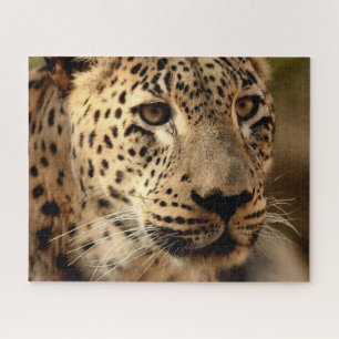 Beau portrait de léopard, puzzle