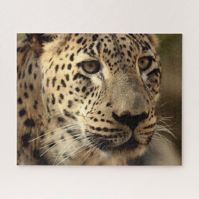Beau Portrait de léopard, Puzzle (Horizontal)
