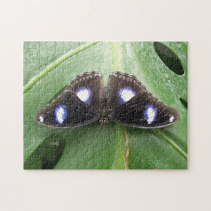 Beau Puzzle à Papillon Bleu tacheté