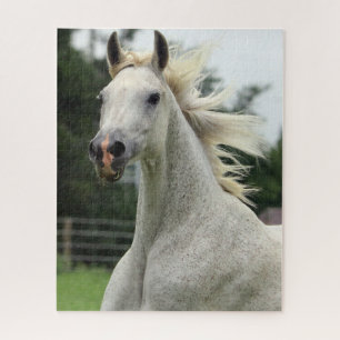 Beau puzzle Arabe de cheval