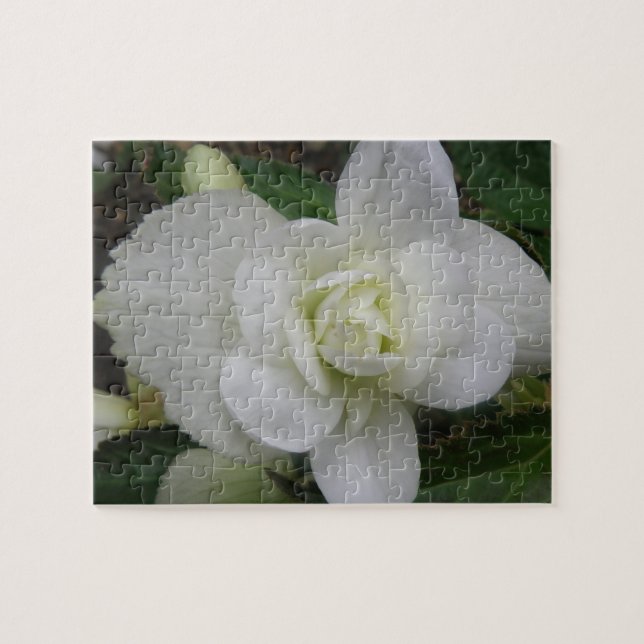 Beau Puzzle de Carnation Blanche (Horizontal)