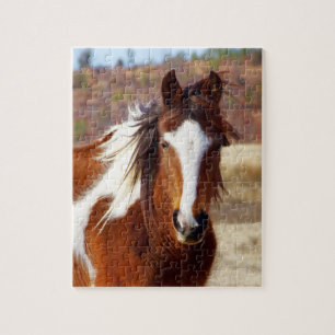 Beau puzzle de cheval de peinture