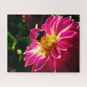 Beau Puzzle de jardin