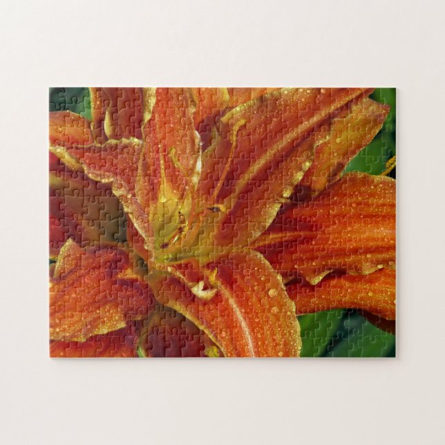 Beau puzzle de lys orange (Horizontal)