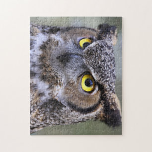 Beau Puzzle de puzzle de hibou