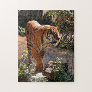 Beau Puzzle de Tigre du Bengale