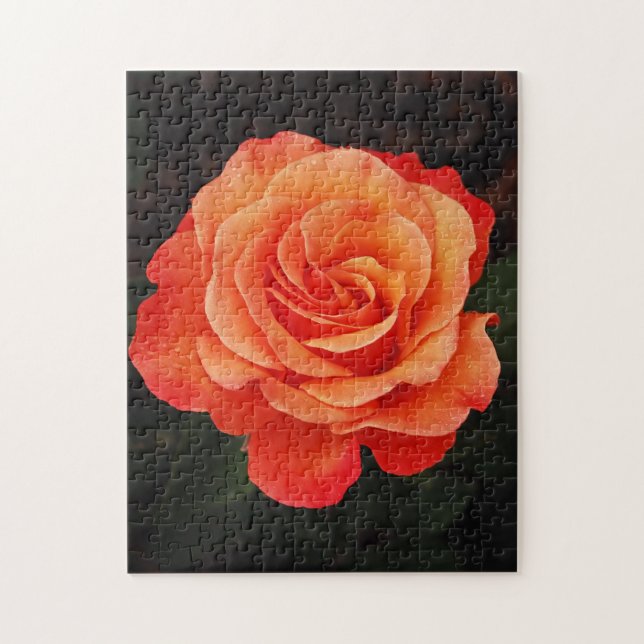 Beau puzzle d'impression de rose d'orange (Vertical)