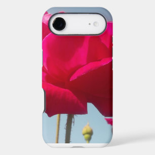 Beau Rose Extraordinaire pour la mariée