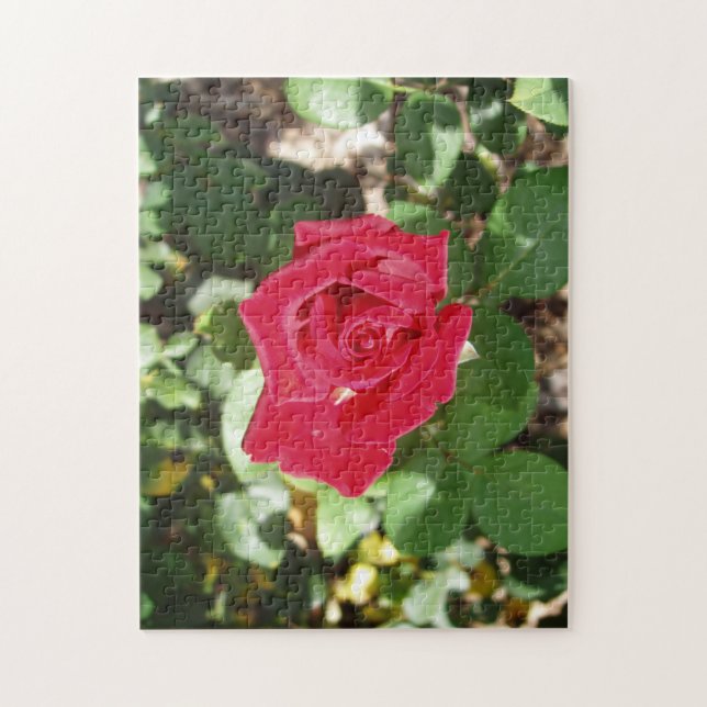 Beau Rose Jigsaw Puzzle (Vertical)