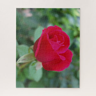 Beau Rose Jigsaw Puzzle