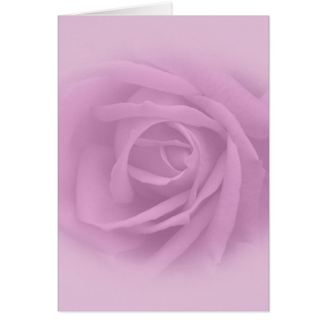 Beau Rose Lilac (Devant)