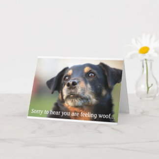 Beau S'En Sortir Bientôt Carte De Voeux Chien