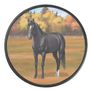 Beau Stallion Cheval du Quartier Noir