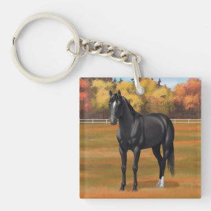Beau Stallion Cheval du Quartier Noir