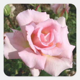 Beau Sticker Flower Set