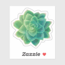 Beau Sticker Plante Succulent