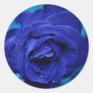 Beau Sticker Rose Bleu