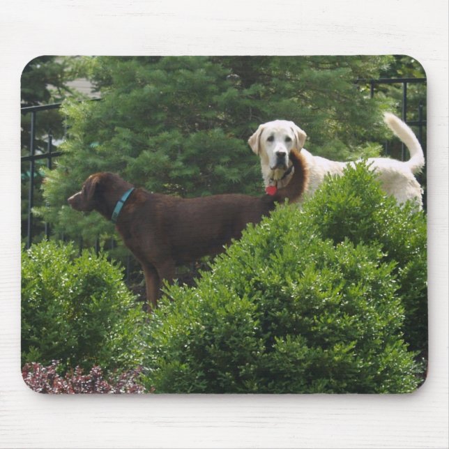 Beau tapis de souris de Labrador (Devant)