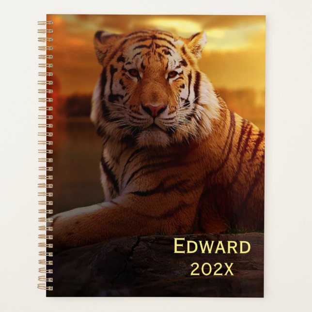Beau tigre  (Devant)
