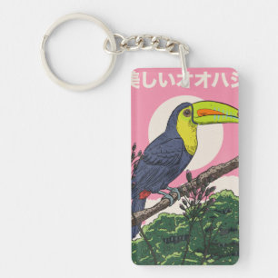 Beau Toucan Oiseau