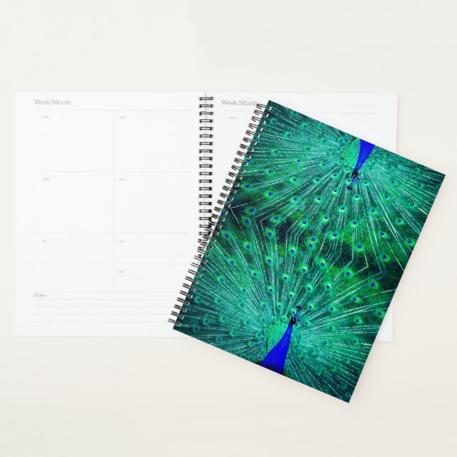beau vert, bleu et turquoise (Devant avec enveloppe)