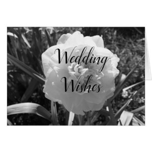 Beau voeux de mariage de jonquille blanche