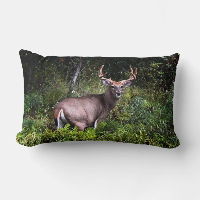 Beau Whitetail Buck Lumbar Coussin (Recto)