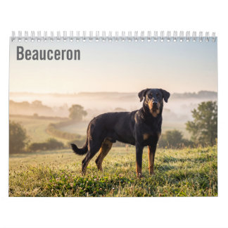 Beauceron 2027 Wall Calendar
