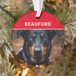 Beauceron avec le nom du chien et la photo Noël