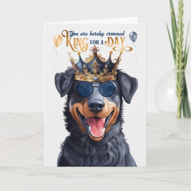 Beauceron Dog King for Day Funny Birthday Card (Front)