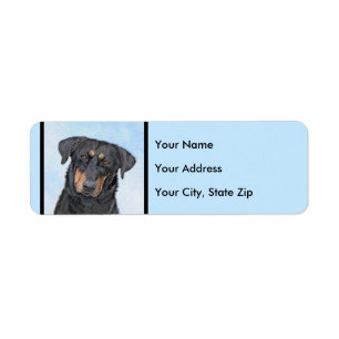 Beauceron Painting - Cute Original Dog Art