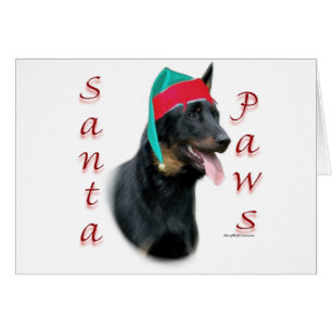 Beauceron Père Noël Paws